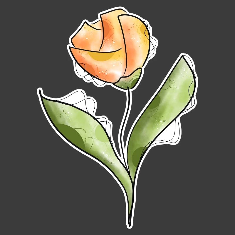 Tulpe