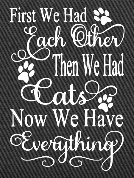 We Have Cats