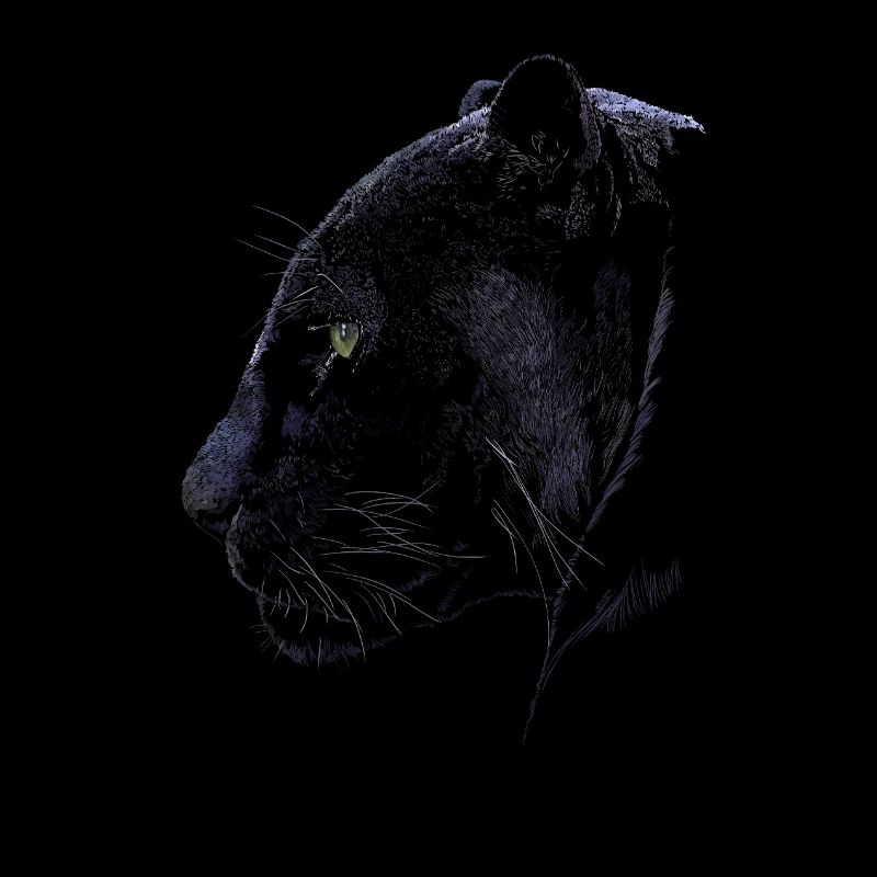 Panther