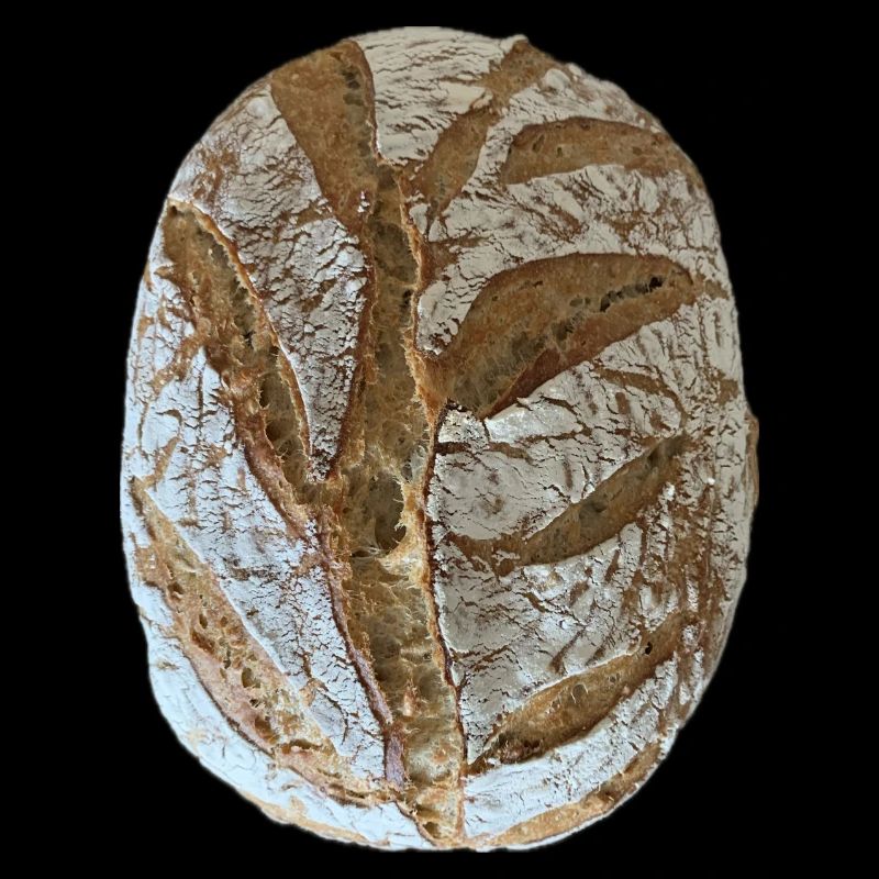 Rustic Sourdough Bread Illustration