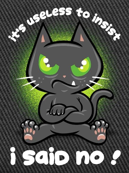 Stubborn Cat