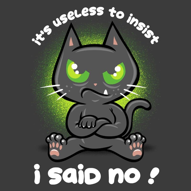 Stubborn Cat