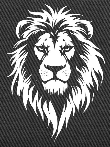 lion face lion head