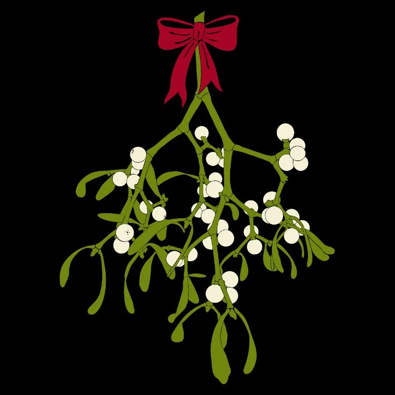 Gui avec ruban rouge - Décoration de Noël