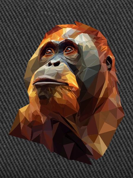 Geometric Orangutan Head