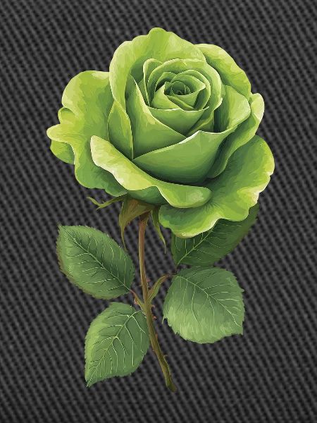 Green Rose