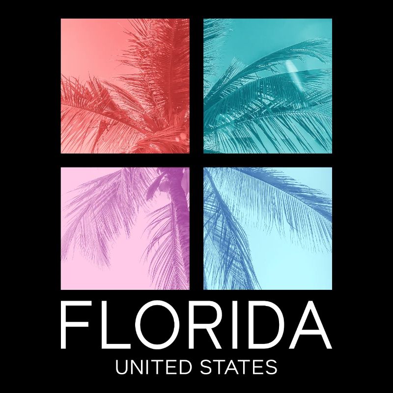 Florida USA Miami America Summer Palm Trees Beach