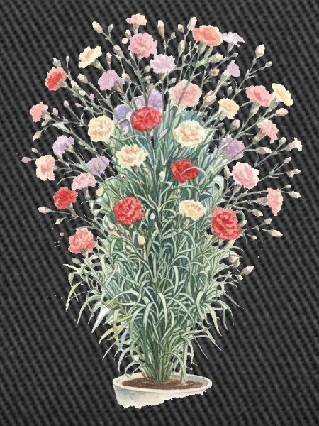 Bouquet d’œillets romantique