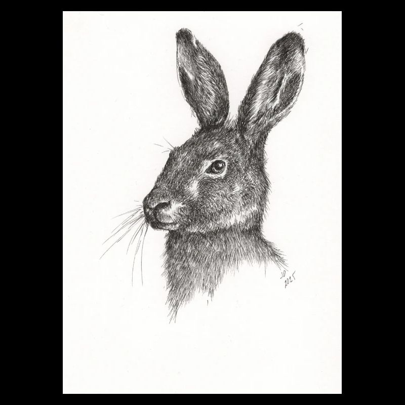 Pas juste un autre lapin