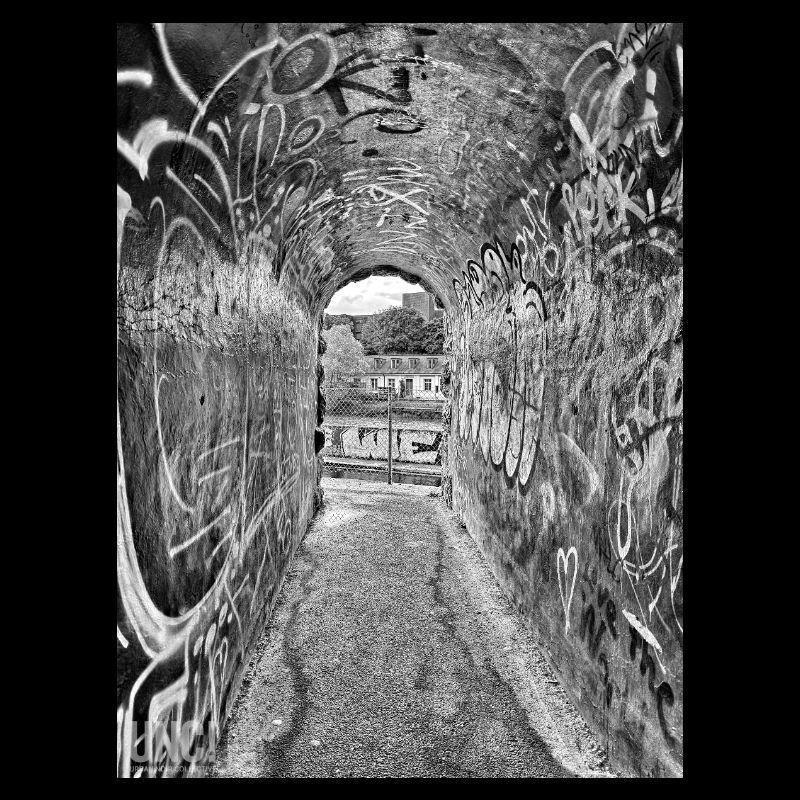 Züri Letten