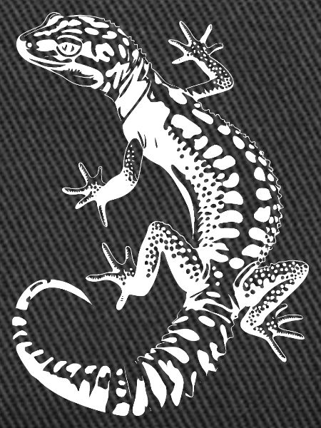 Gecko Silhouette Leopardgecko