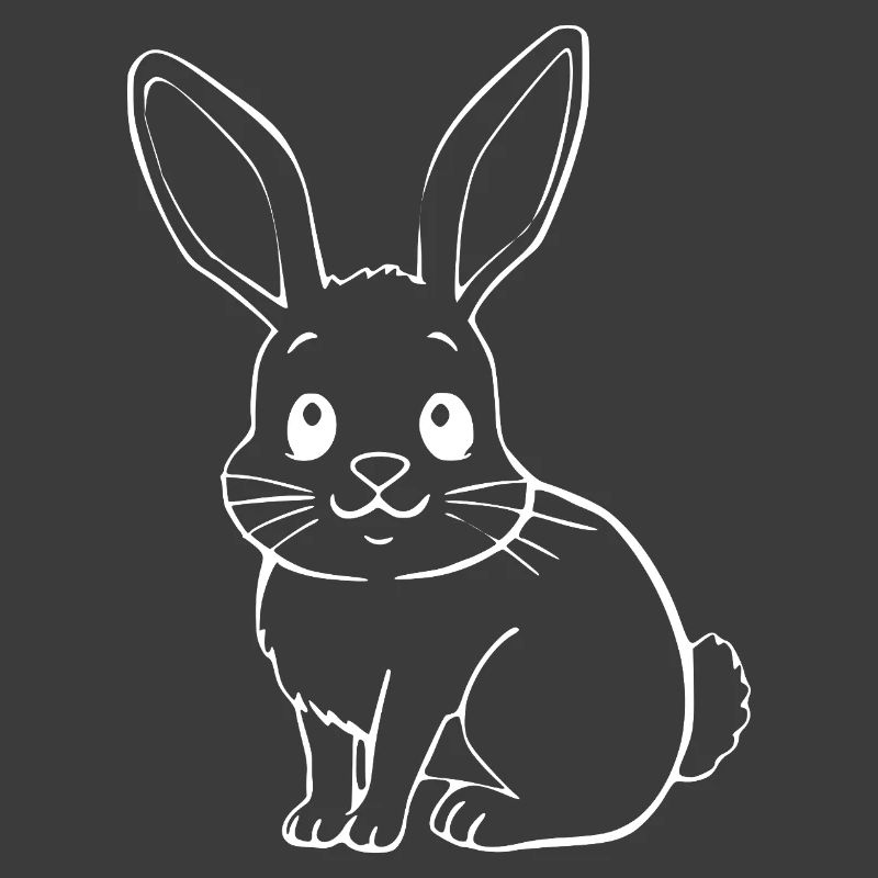 Rabbit Bunny Bunny Dwarf Rabbit Gift