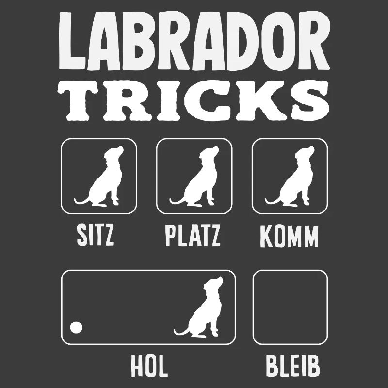 Labrador Tricks