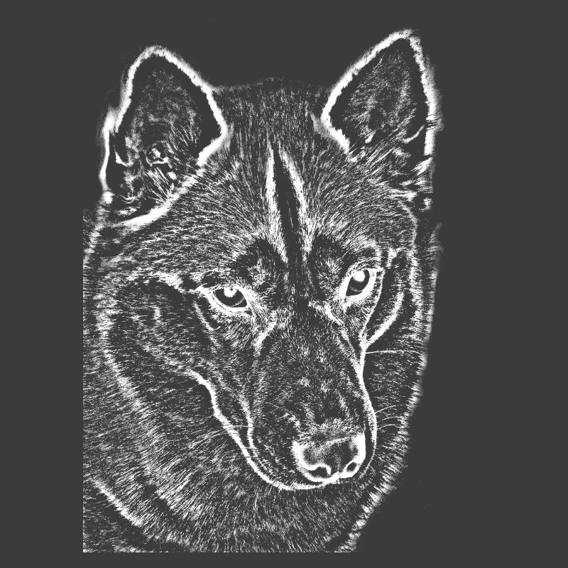 Wolf View Line Drawing Print Design Husky
