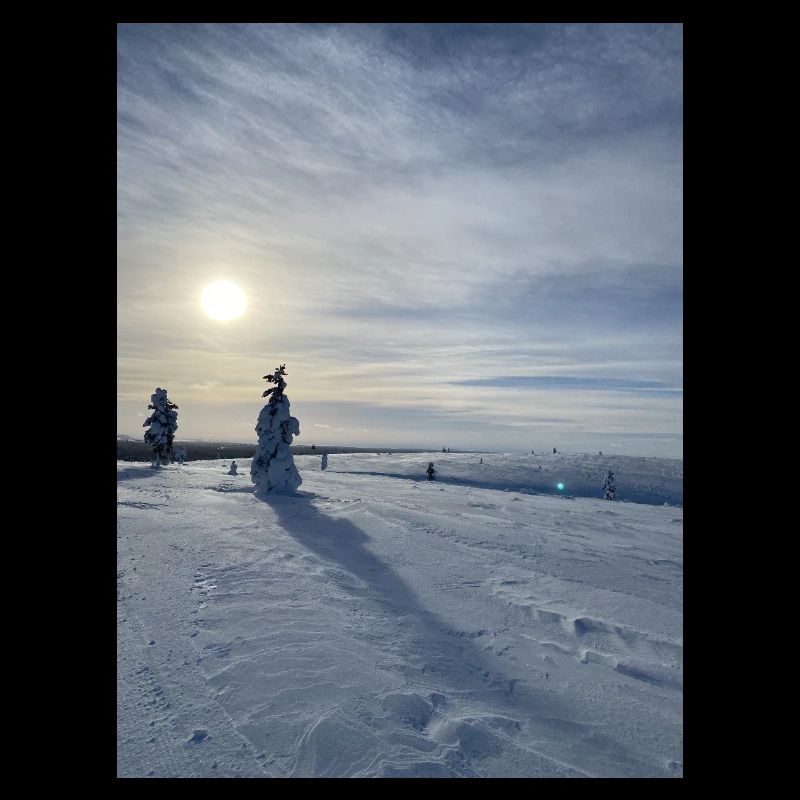 Winterlandschaft in der Sonne