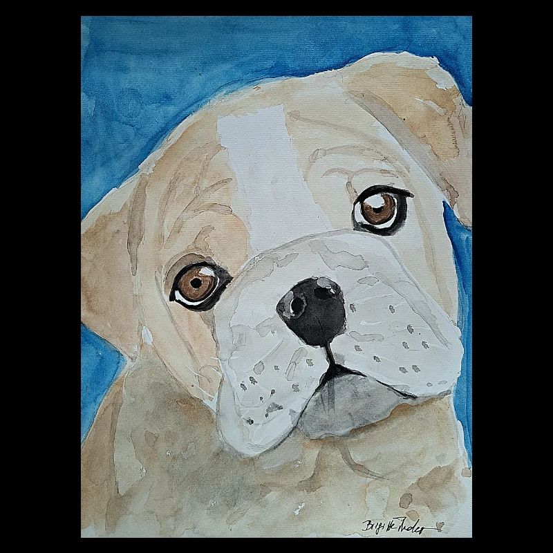 Bouledogue, Aquarelle, Chiot