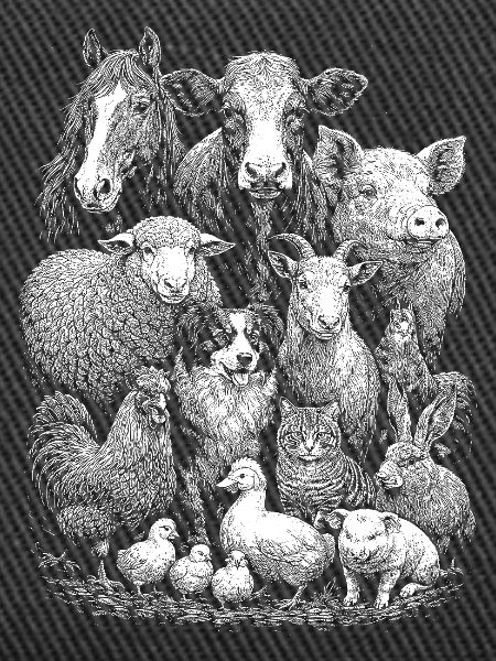 Farm animals