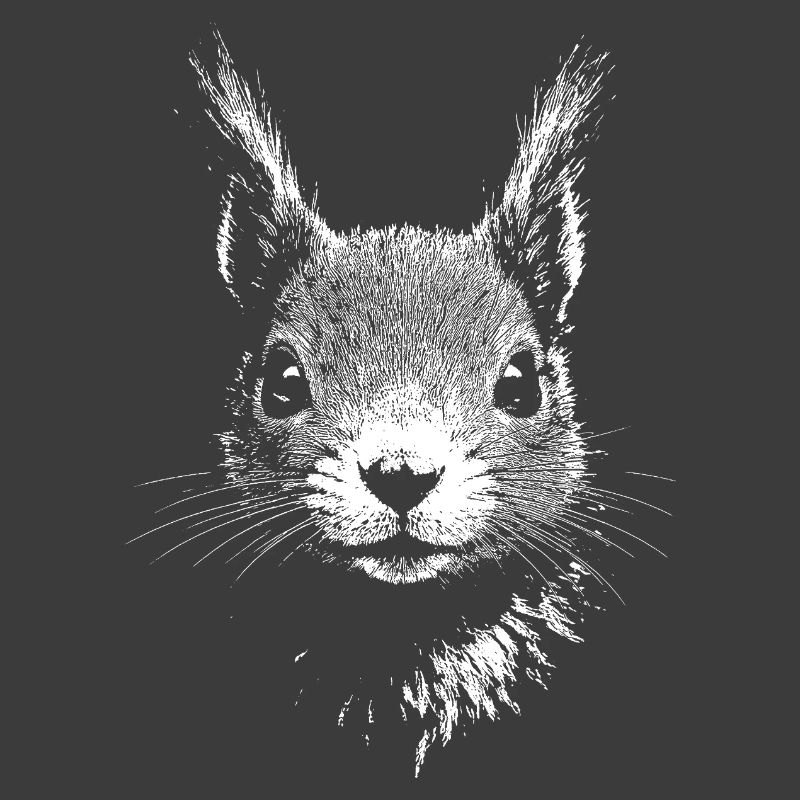 Eichhörnchen