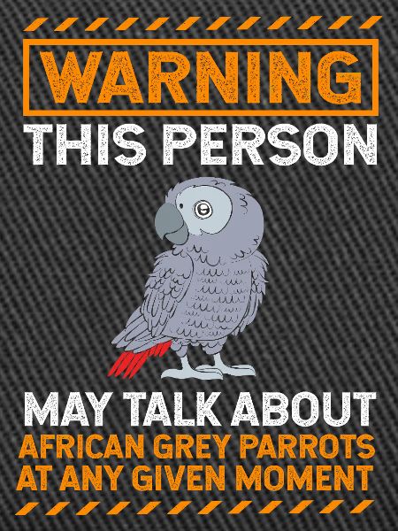 Parrot Grey