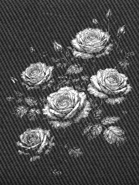 Roses