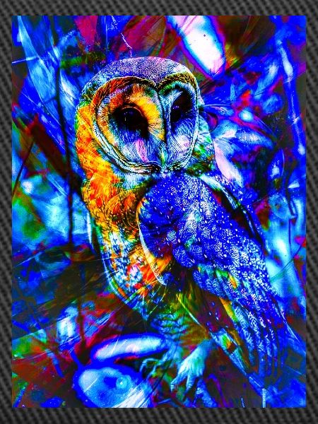 Neoneule im psychedelischen Licht