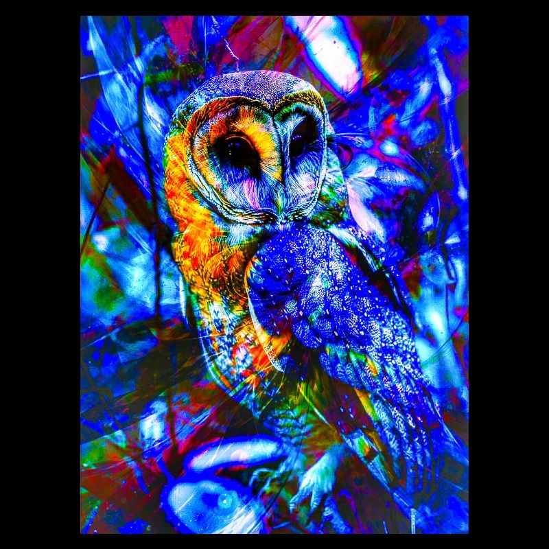 Neon Owl in Psychedelic Light