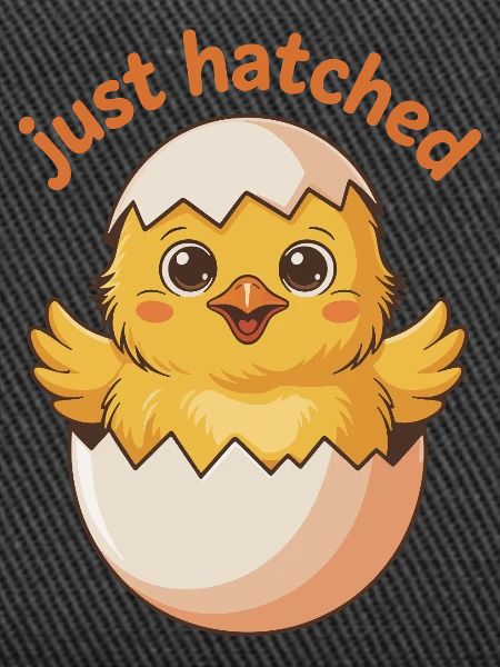 Freshly hatched chick