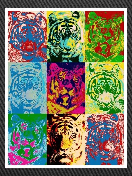 Tiger_4