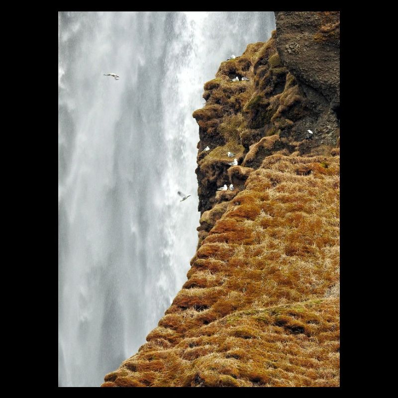 Mossy Cliff Waterfall Vista