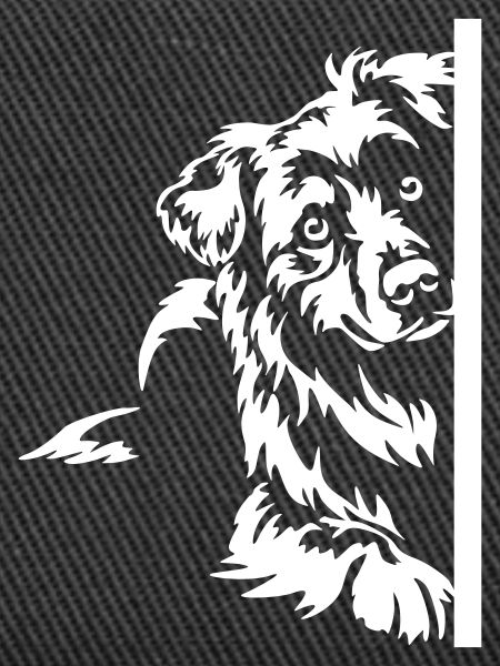 Australian Shepherd "Black Edition"