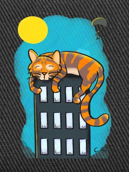 Cat over skyscrapers