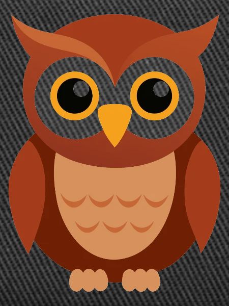 Bébé Hibou