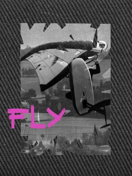 Wingfoiler Freestyle