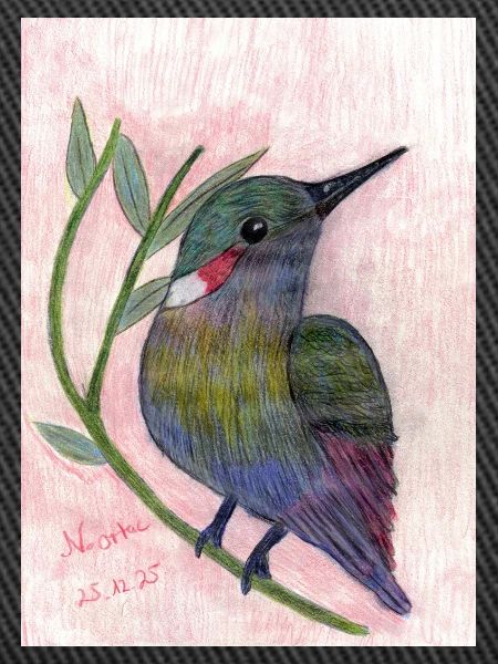 Oiseau