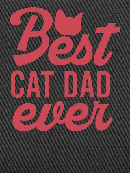 Best Cat Dad ever