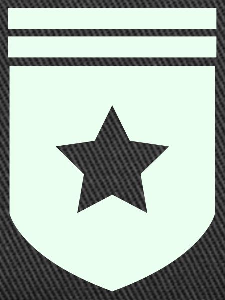 Abzeichen Stern