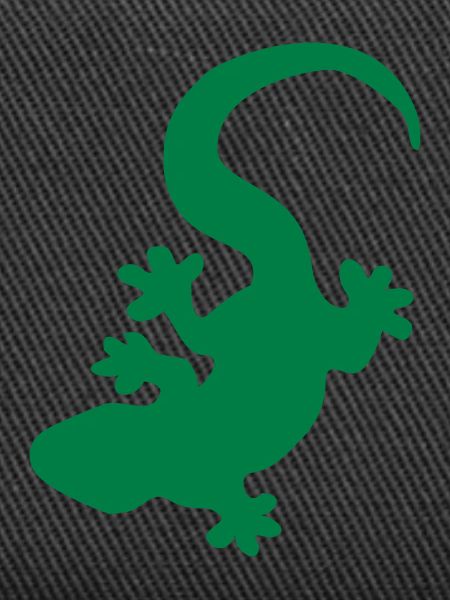 lizard