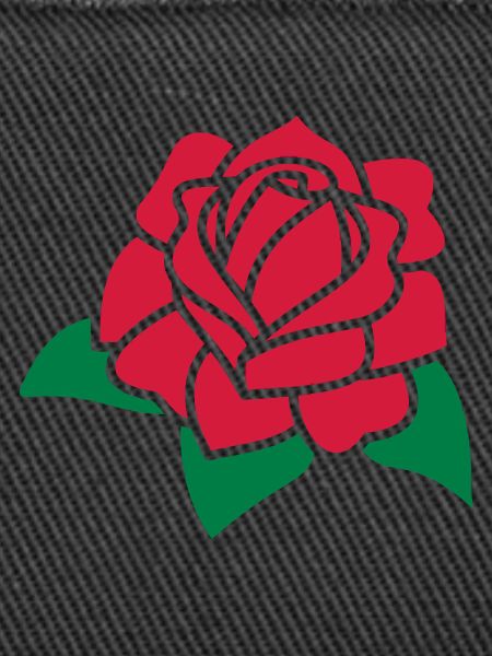 Rose Flower 2c