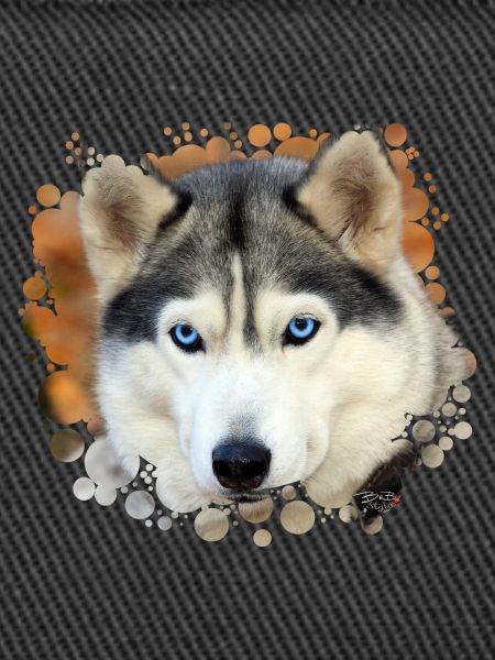 Husky