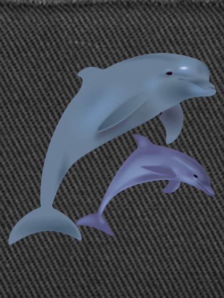 Dolphins
