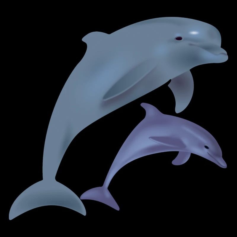 Dolphins