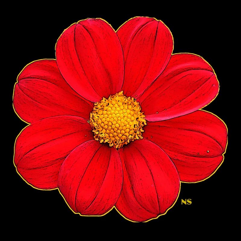 Red flower with yellow heart