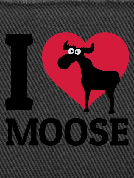 I love Moose