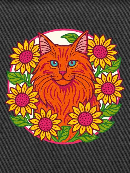 Maine Coon Cat