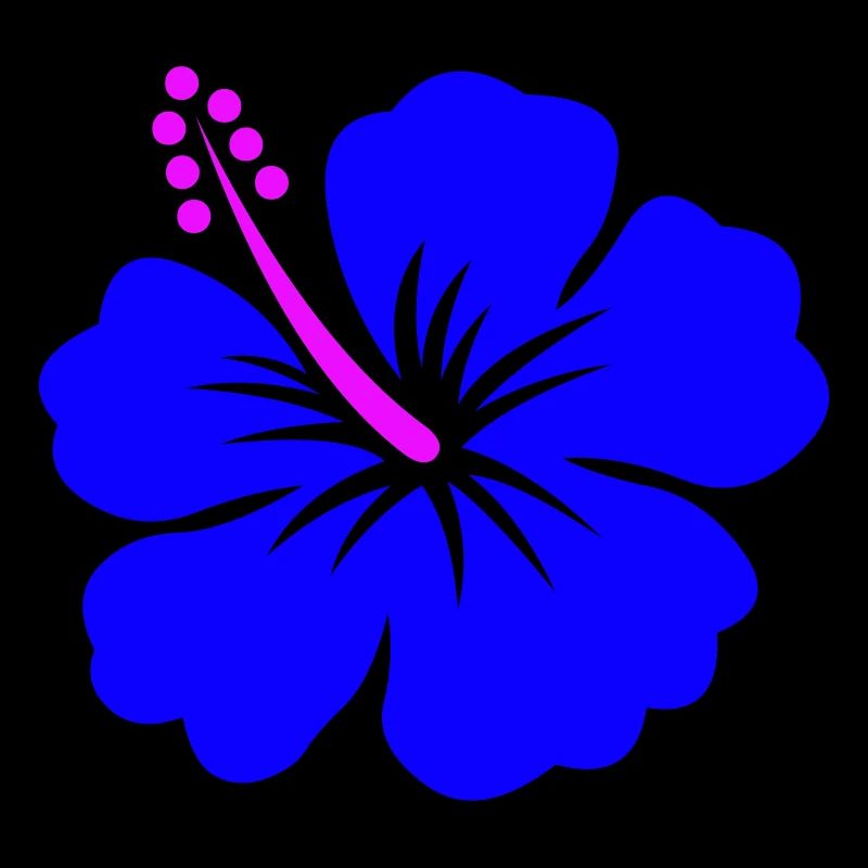 hibiscus - hawaii