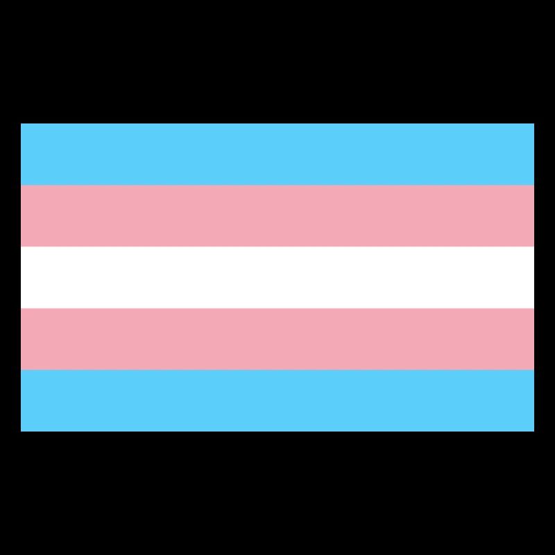 Trans Flag