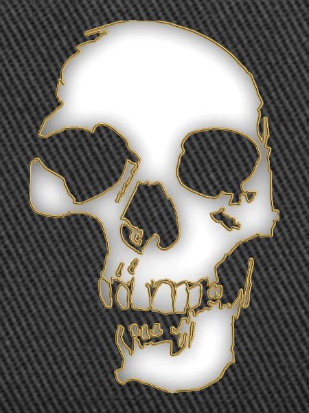 Skull 3