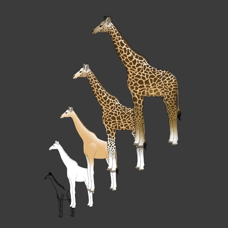 Giraffe drawing