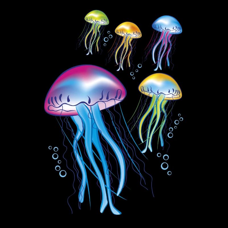 Jellyfish