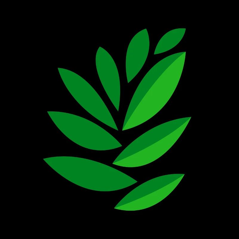 drawing leaves